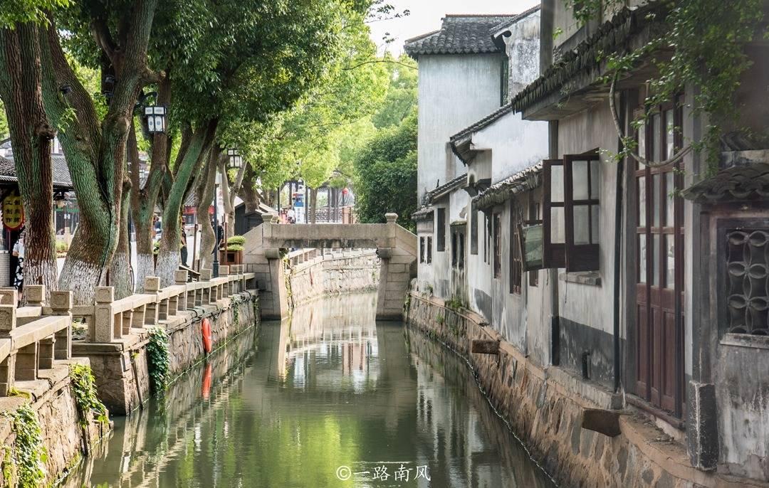 白孔雀救援